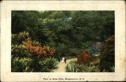 View in Ross Park Binghamton, NY Postcard Postcard