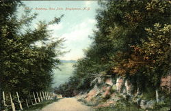 Roadway, Ross Park Postcard