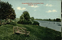 Susquehanna River at Casino Park Endicott, NY Postcard Postcard