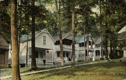 Cottages, Carmel Grove Postcard