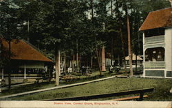 Scenic View, Carmel Grove Postcard
