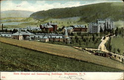 State Hospital and Surrounding Buildings Binghamton, NY Postcard Postcard