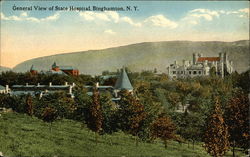 General View of State Hospital Postcard