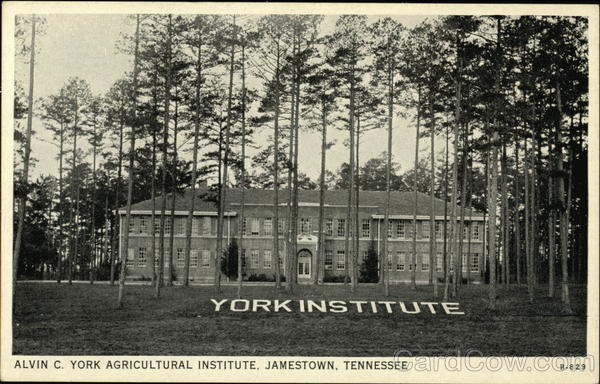 Alvin C. York Agricultural Institute Jamestown Tennessee