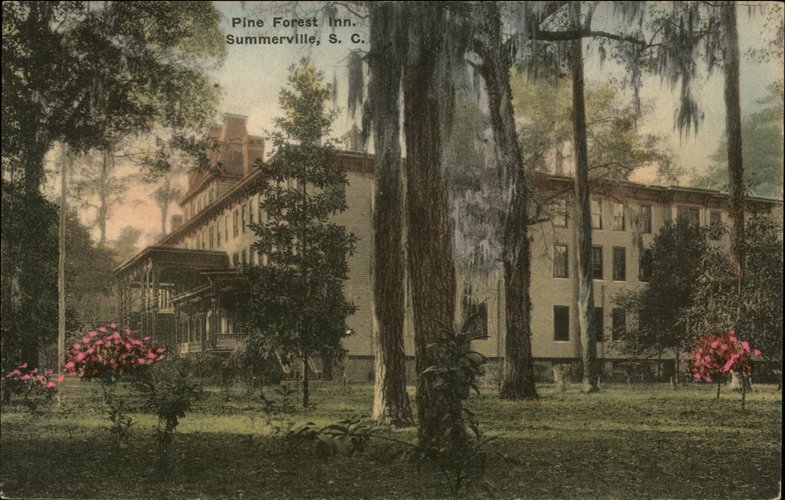 Pine Forest Inn Summerville South Carolina