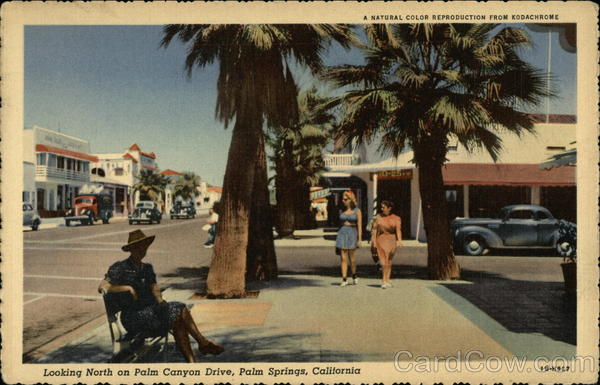 Looking North Palm Canyon Drive Palm Springs California