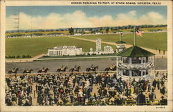 Horses Parading to Post at Epsom Downs Postcard