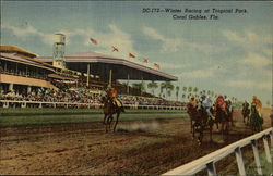 Winter Racing at Tropical Park Coral Gables, FL Postcard Postcard