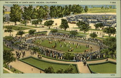 The Paddock at Santa Anita Postcard