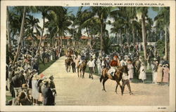 Miami Jockey Club - The Paddock Hialeah, FL Postcard Postcard