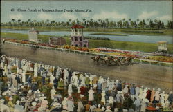 Close Finish at Hialeah Race Track Miami, FL Postcard Postcard