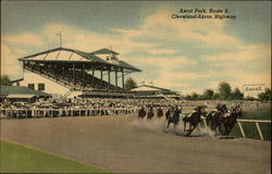 Ascot Park, Route 8, Cleveland-Akron Highway Postcard