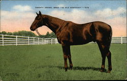 Twenty Grand, Bred "In Old Kentucky" Lexington, KY Horse Racing Postcard Postcard