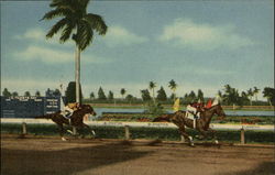 Gulfstream Park Hallandale, FL Postcard Postcard