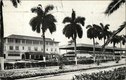 Oriental Park Race Track Havana, Cuba Postcard Postcard