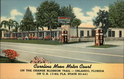 Carolina Moon Motor Court Orlando, FL Postcard Postcard