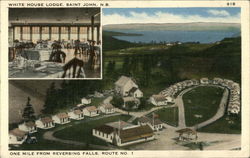 White House Lodge Postcard