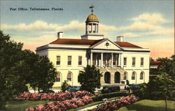 Post Office Tallahassee, FL Postcard Postcard