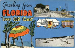 Greeting from Florida Postcard Postcard