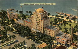 Flamingo Hotel Postcard