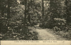 Along the Walk to Table Rock Monteagle, TN Postcard Postcard