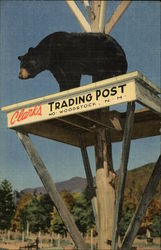 Clark's Trading Post Postcard