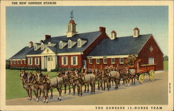The Genesee 12-Horse Team Postcard