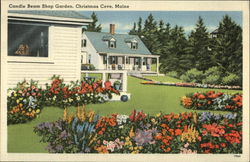 Candle Beam Shop Garden Postcard