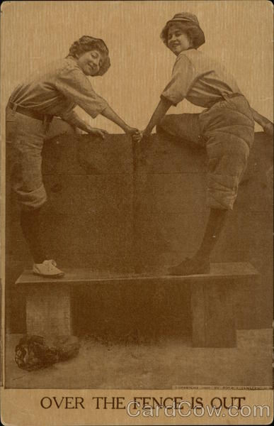 Over The Fence Is Out Baseball