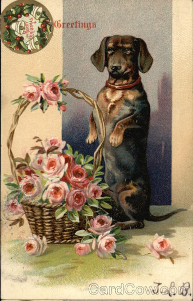 Dachshund and Basket of Flowers Dachshunds
