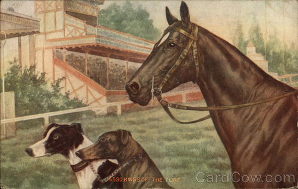 Kings of the Turf Horse Racing