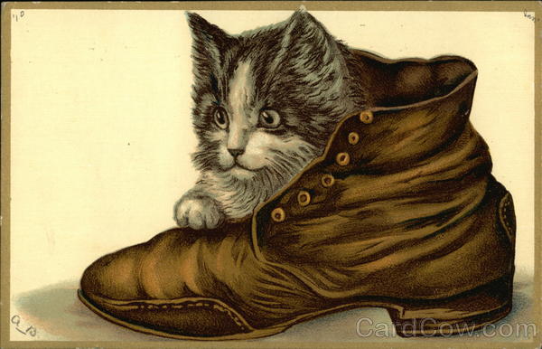 Kitten in a Boot Cats