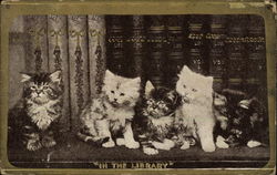In the Library Postcard