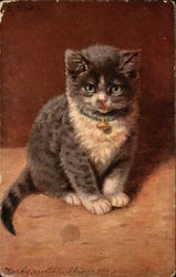 Grey and White Kitten with Blue Collar and Bell Cats Postcard Postcard
