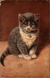 Grey and White Kitten with Blue Collar and Bell Postcard