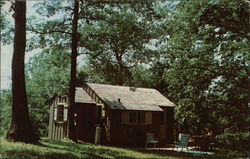 Scenic Backbone, Iowa's First State Park Postcard