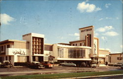 The Luxurious Driftwood Motel Postcard