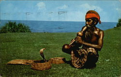 Ceylon: Snake Charmed With Cobra Postcard Postcard