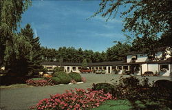 Pine Haven Motel Postcard
