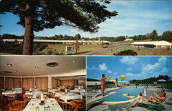 Perkins Motel and Restaurant Postcard