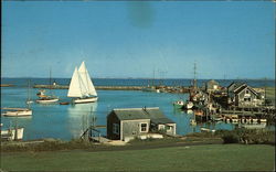 Menemsha Basin Massachusetts Postcard Postcard