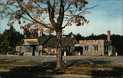 Castle Restaurant and Dairy Bar - Famous for Fried Chicken Leicester, MA Postcard Postcard