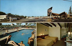 Brookside Motel Ellsworth, ME Postcard Postcard