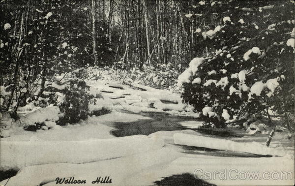 Walloon Hills Walloon Lake Michigan