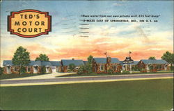 Ted's Motor Court Springfield, MO Postcard Postcard