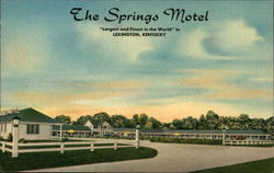 The Springs Motel The Springs Motel
