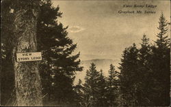 View Stony Ledge, Greylock Mt. Series Postcard