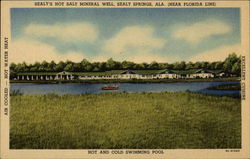 Sealy's Hot Salt Mineral Well (Near Florida Line), Hot and Cold Swimming Pool Sealy Springs, AL Postcard Postcard