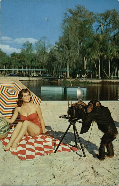 Monkey Shines at Silver Springs Florida