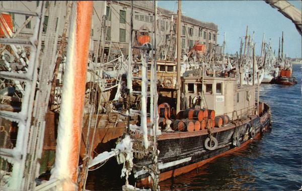 Fish Pier in Winter Boston Massachusetts